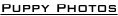 shapeimage_1_link_10