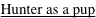 shapeimage_4_link_0